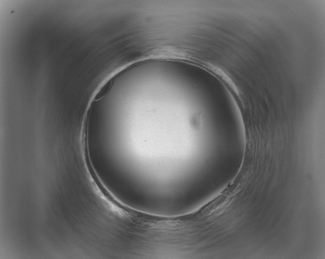 X0000073421387200608041013