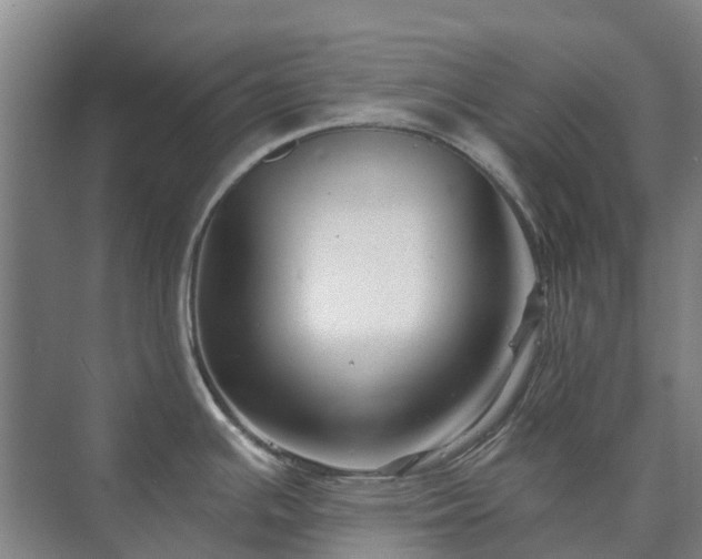 X0000073421391200608041013