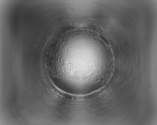 X0000073421393200608041012