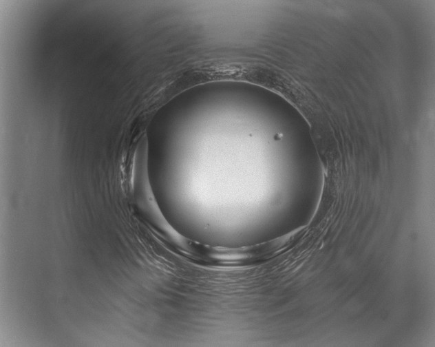 X0000073421394200608041012