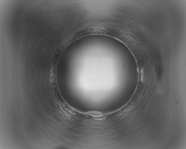 X0000073421395200608041012