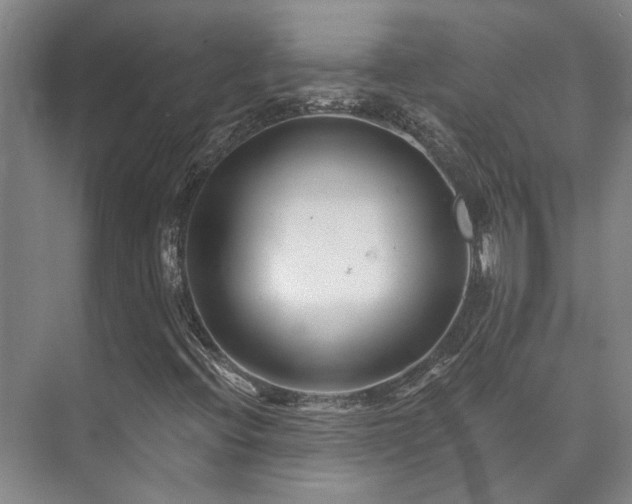 X0000073421396200608041012