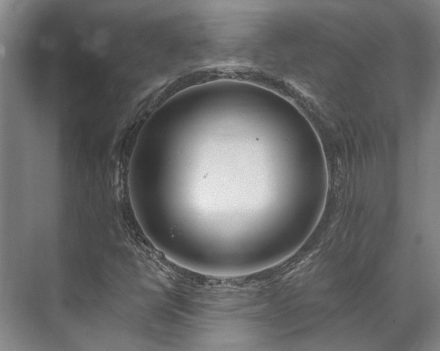 X0000073421398200608041012