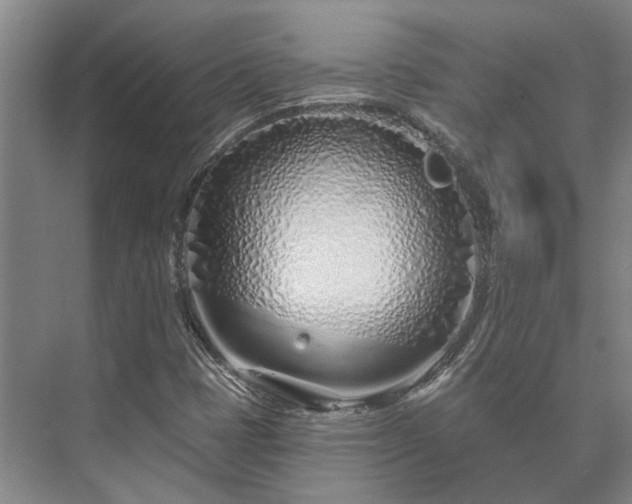 X0000073421401200608041012