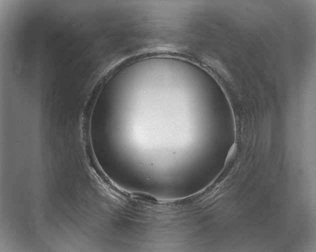 X0000073421404200608041012