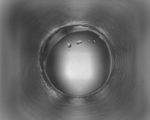 X0000073421406200608041012