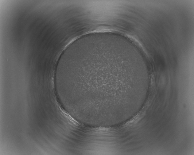 X0000073421409200608041012