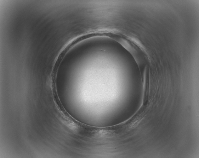 X0000073421412200608041012