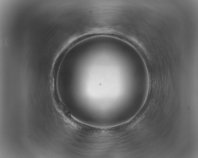 X0000073421414200608041012