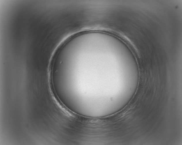 X0000073421416200608041012