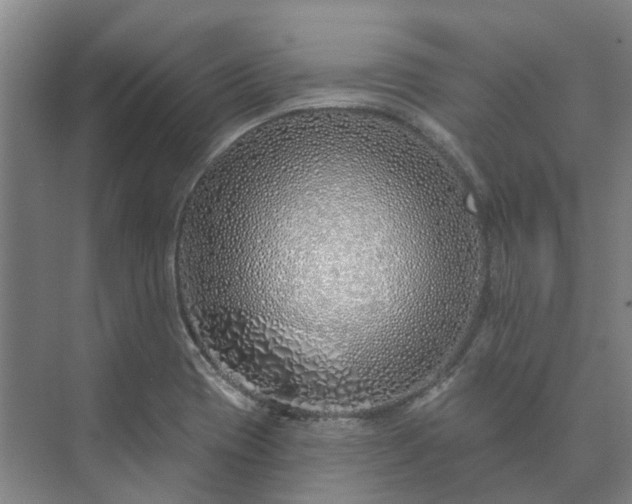 X0000073421417200608041012