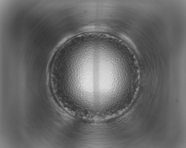 X0000073421419200608041012