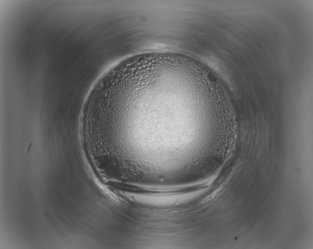 X0000073421421200608041012