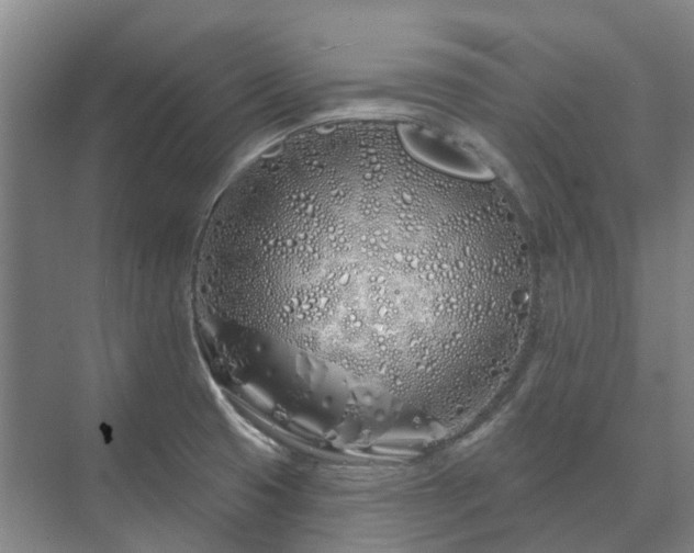 X0000073421425200608041012