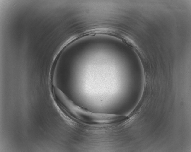 X0000073421426200608041012