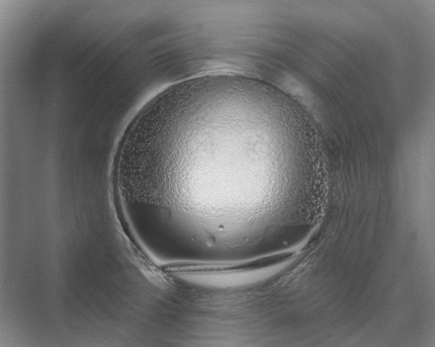 X0000073421427200608041013