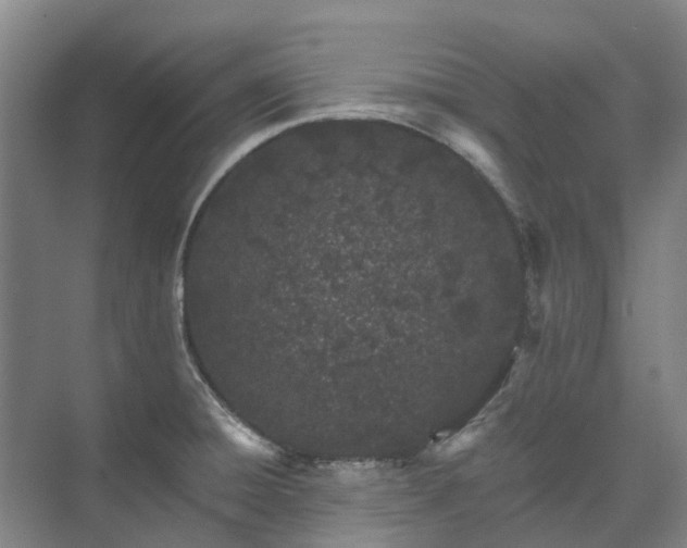 X0000073421428200608041013