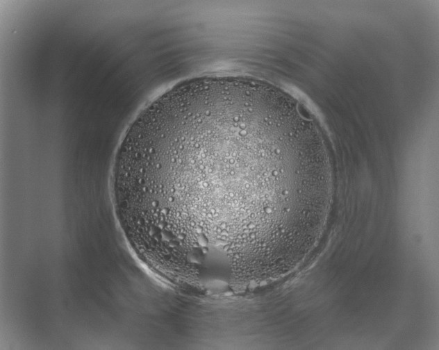 X0000073421429200608041013