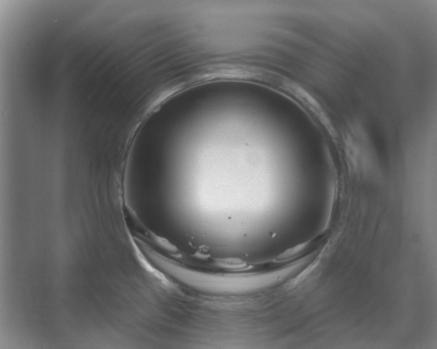 X0000073421433200608041013