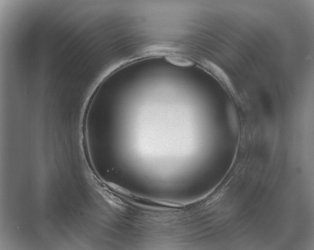 X0000073421435200608041013