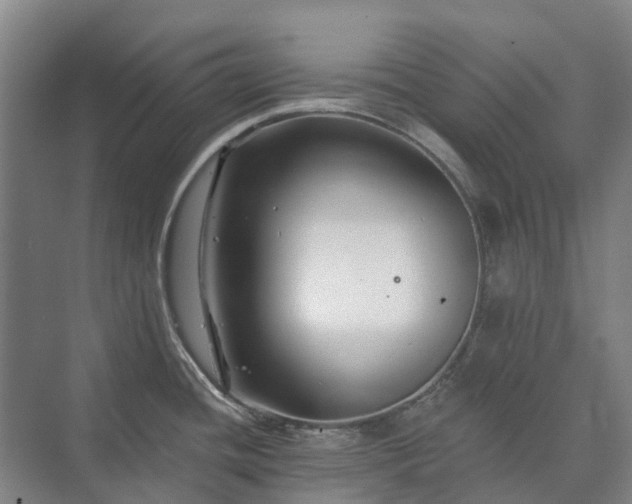 X0000073421436200608041013