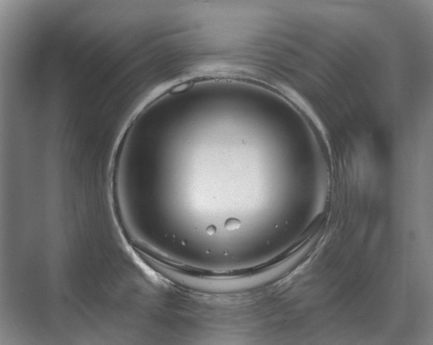 X0000073421437200608041013