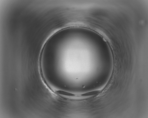 X0000073421440200608041013