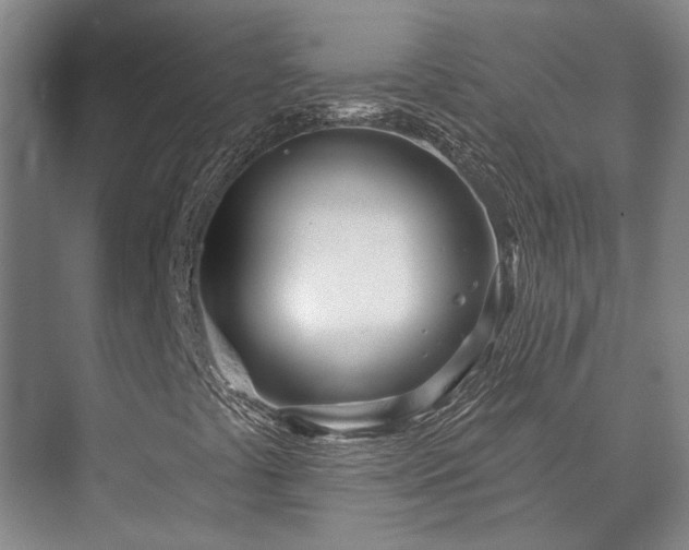 X0000073421441200608041012