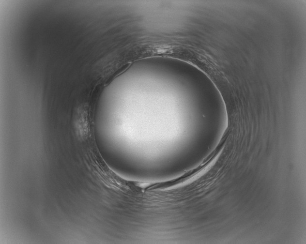 X0000073421442200608041012