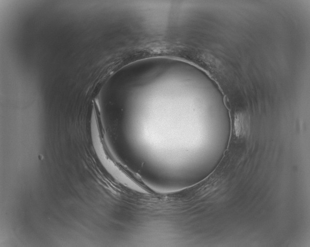 X0000073421444200608041012