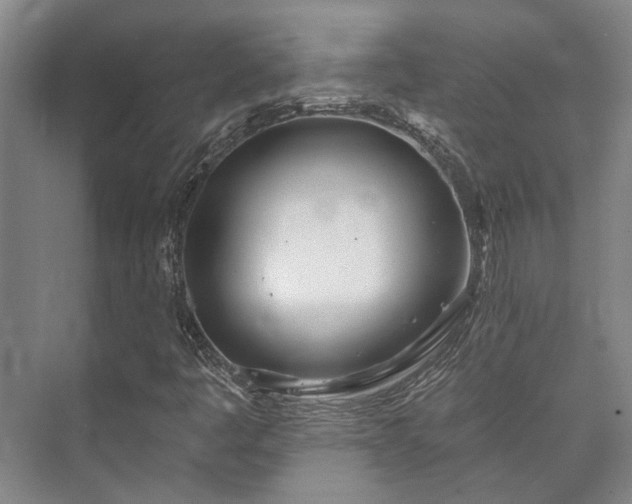 X0000073421445200608041012