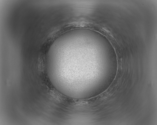 X0000073421446200608041012