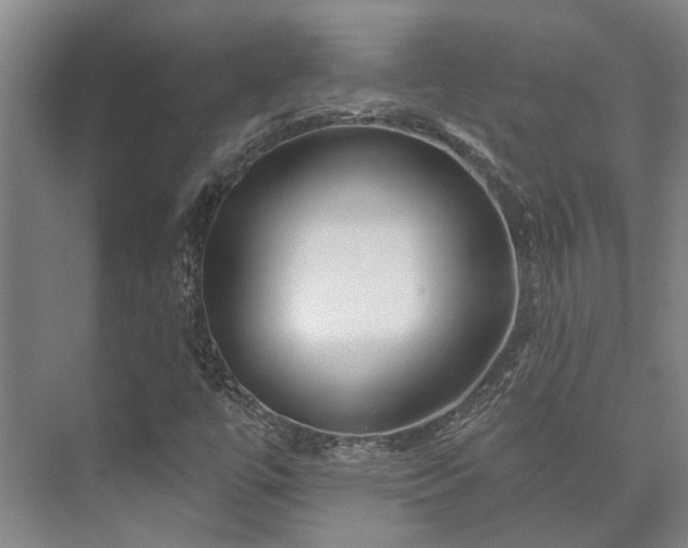 X0000073421447200608041012