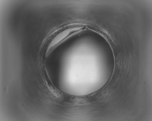 X0000073421448200608041012