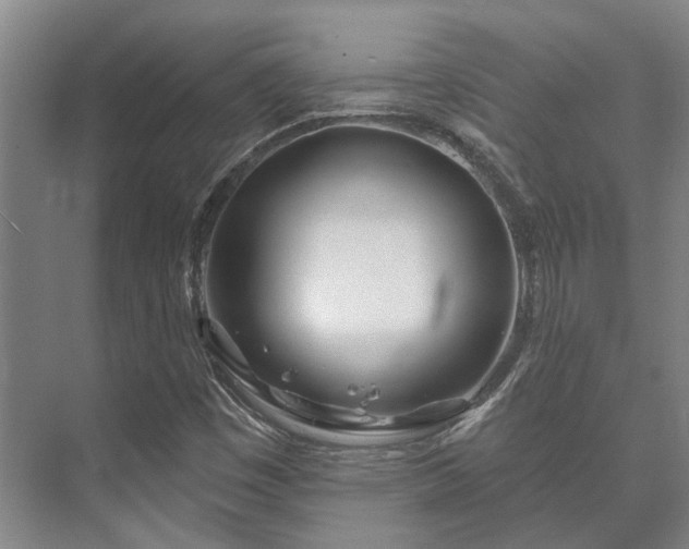 X0000073421449200608041012