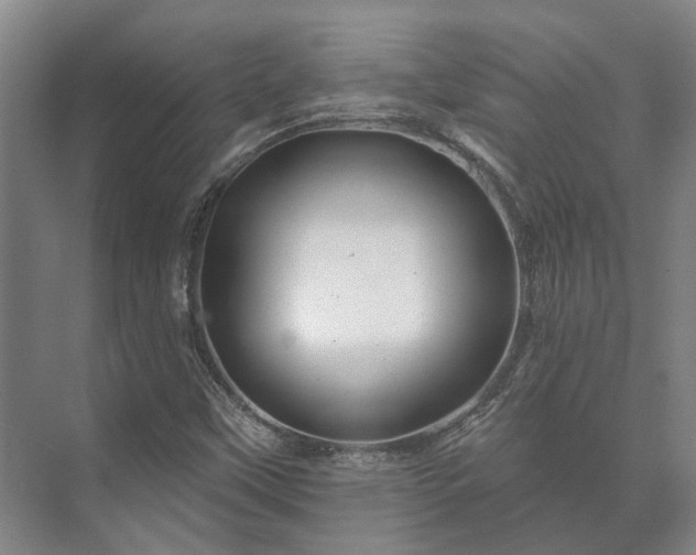 X0000073421451200608041012