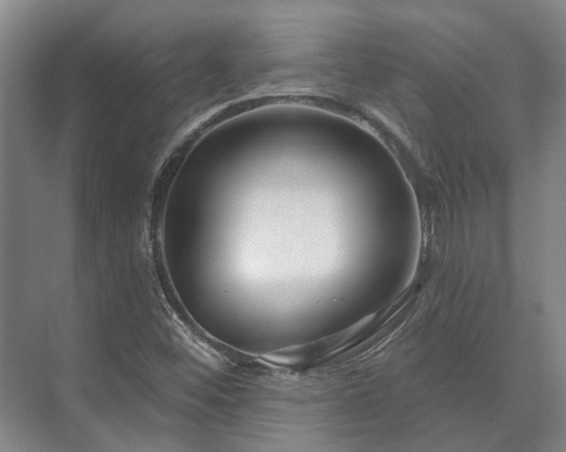 X0000073421452200608041012