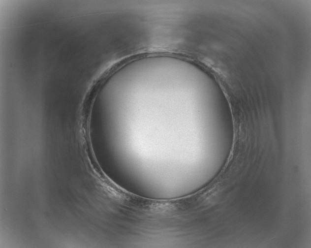 X0000073421454200608041012