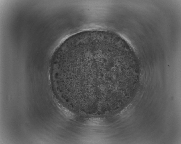 X0000073421455200608041012