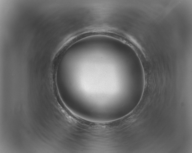 X0000073421456200608041012