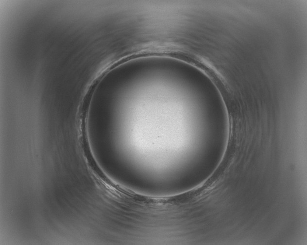 X0000073421459200608041012