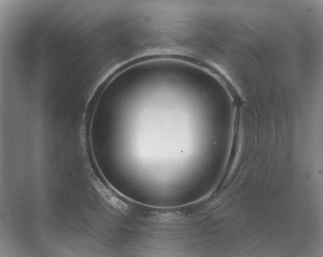 X0000073421460200608041012