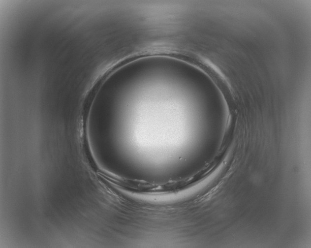 X0000073421461200608041012