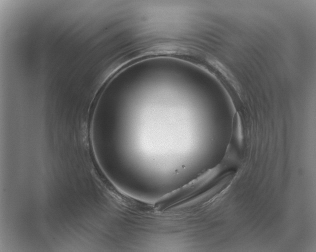 X0000073421465200608041012