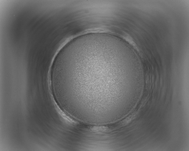 X0000073421466200608041012