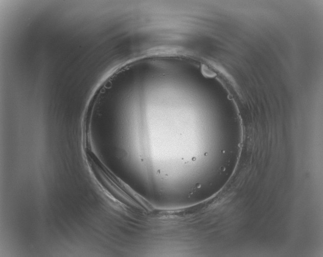 X0000073421467200608041011