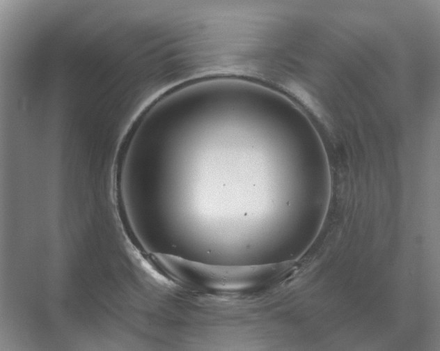 X0000073421468200608041011