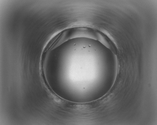 X0000073421469200608041011