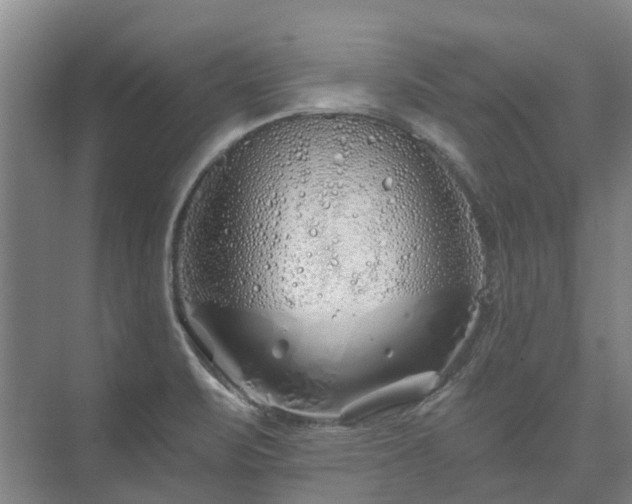 X0000073421471200608041011