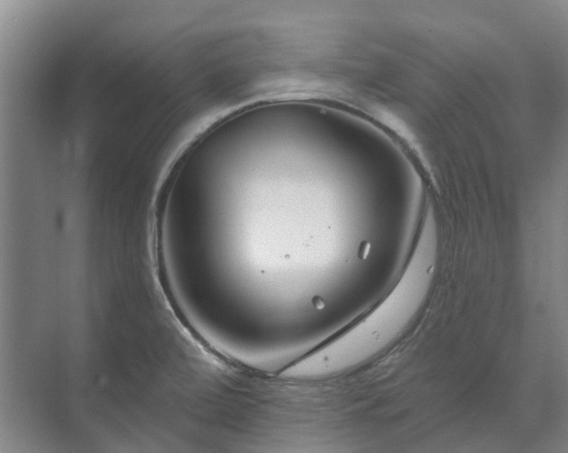 X0000073421472200608041011